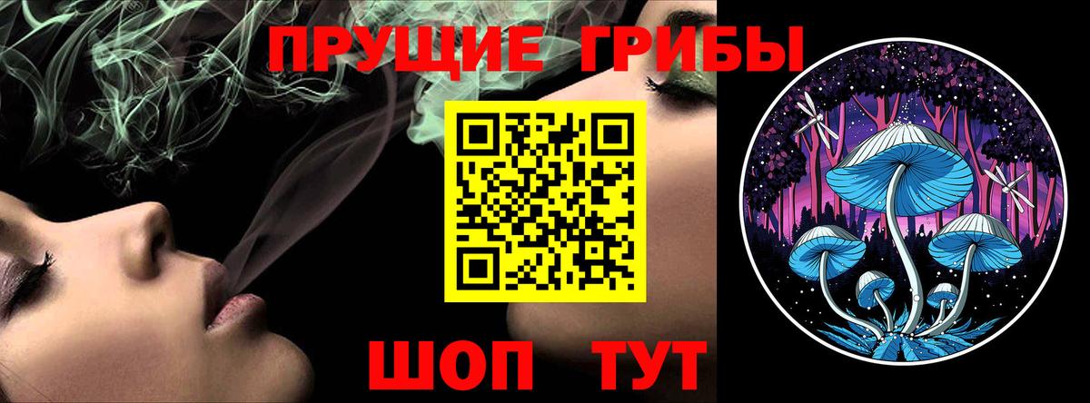 Псилоцибиновые грибы мицелий  Вход с VPN  Улан-Удэ 